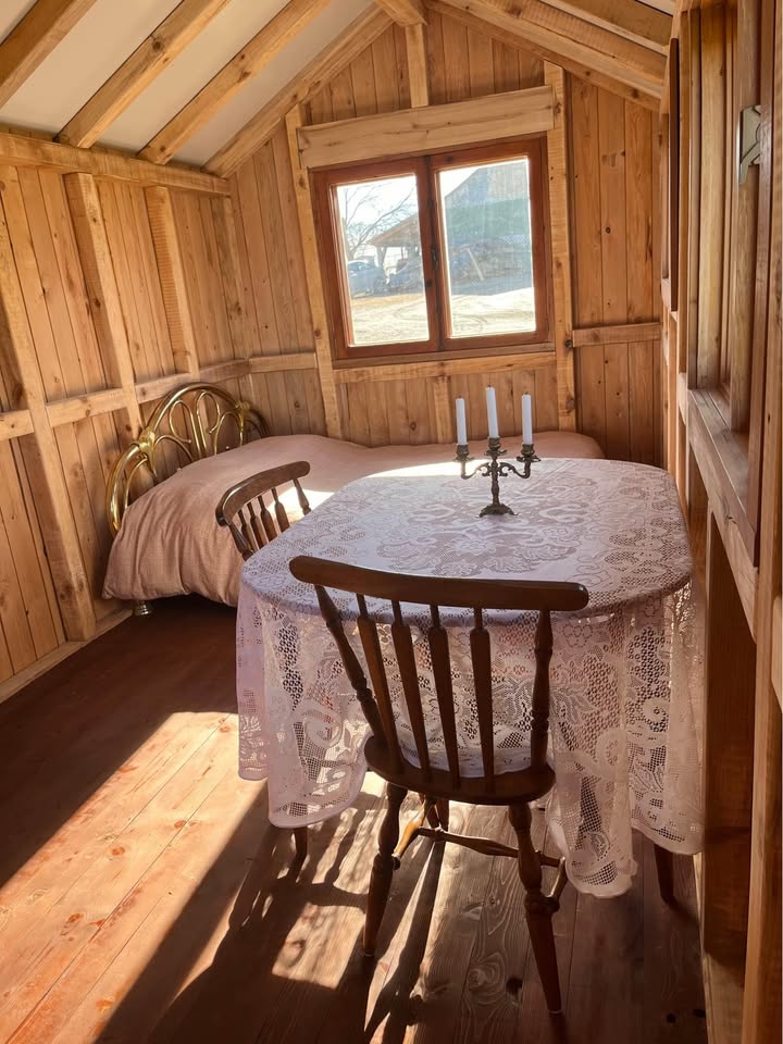 Maison mobile 20 pieds x 8, recouverte en bois usagé, toit en acier, meublée et confortable